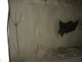 /album/a5-evfolyamosok-kirandulasa-veszto-magoron/vesztomagor2011-133-jpg/